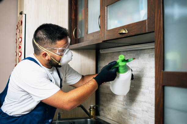 Best Termite Control Services  in Cortland West, NY
