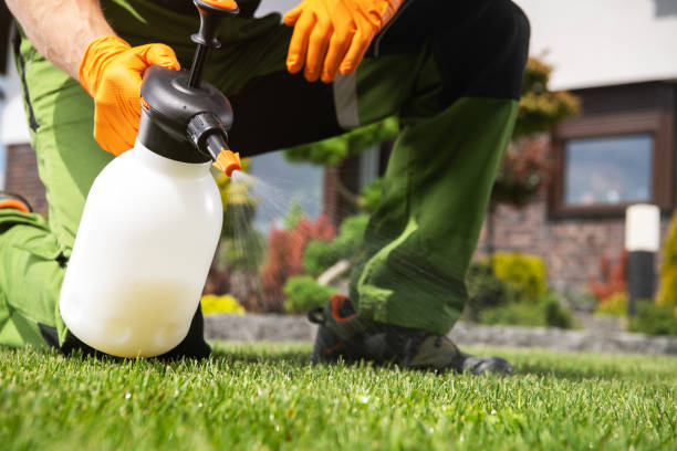 Best Affordable Pest Control Services  in Cortland West, NY