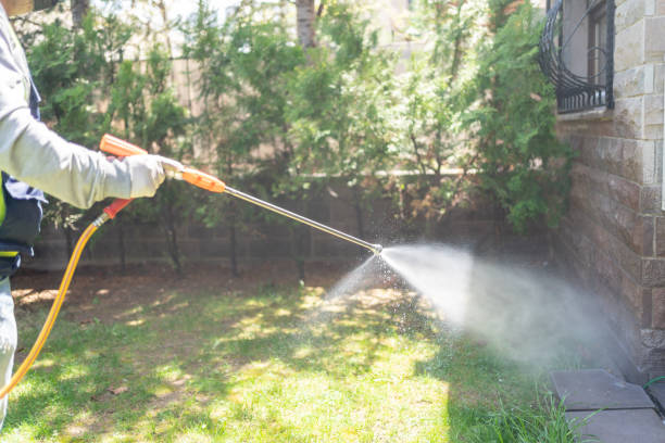 Best Local Pest Control Services  in Cortland West, NY
