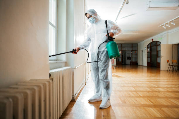 Best Wasp Removal Services  in Cortland West, NY