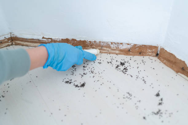 Best Residential Pest Control  in Cortland West, NY