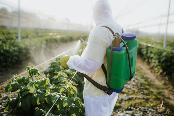 Professional Pest Control in Cortland West, NY